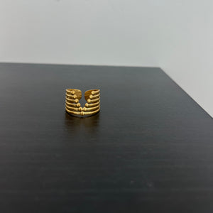 ANILLO V